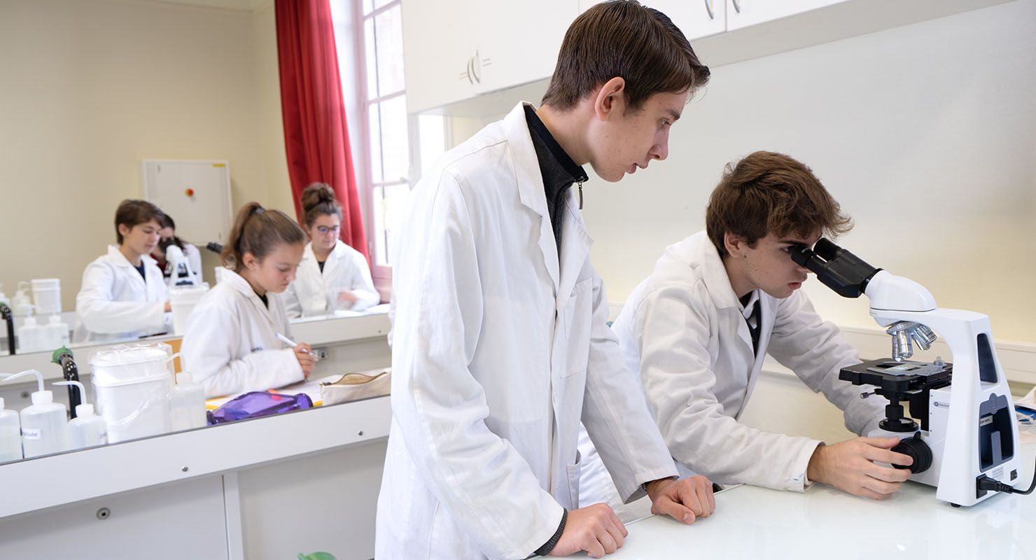 La seconde lycée st stanislas