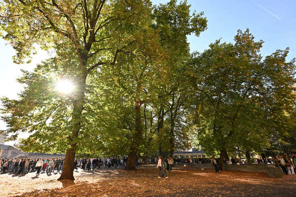 saint stanislas nantes