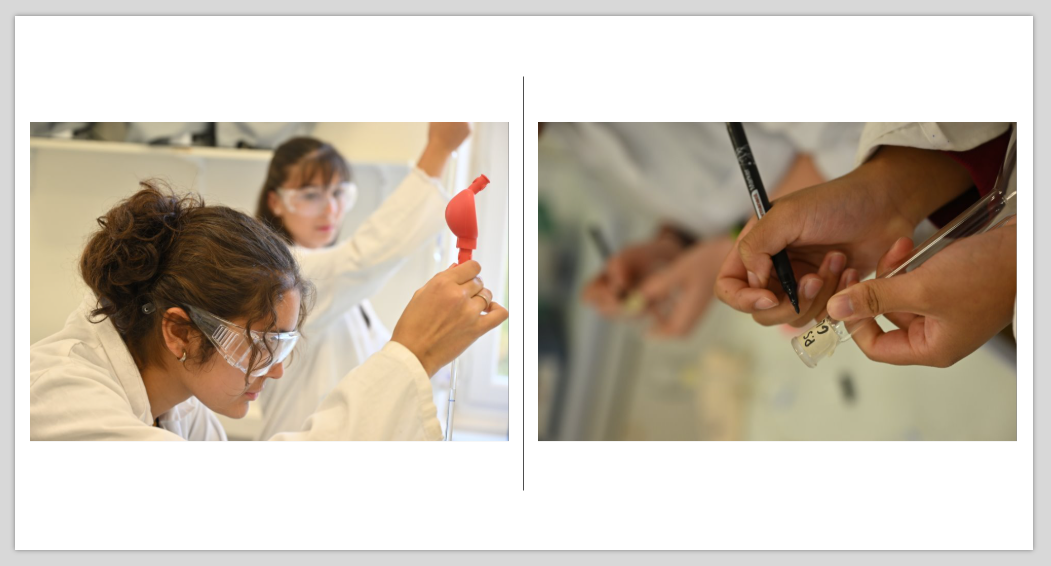 STL BIOTECHNOLOGIES ST STANISLAS NANTES