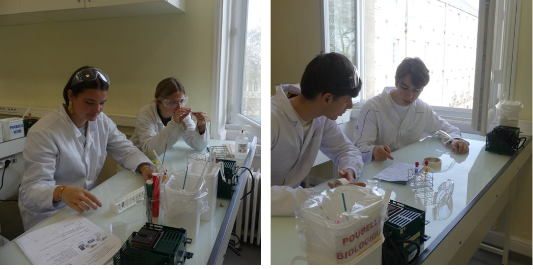 Saint Stanislas célèbre l'Europe : Retour sur l'accueil de nos correspondants italiens