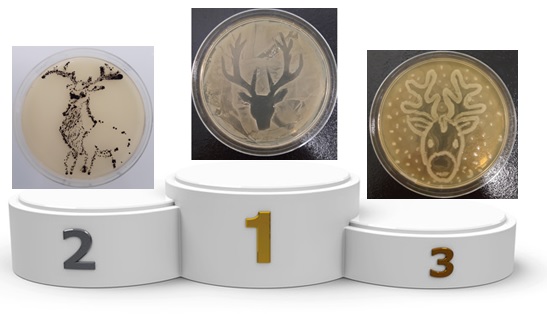 agar art