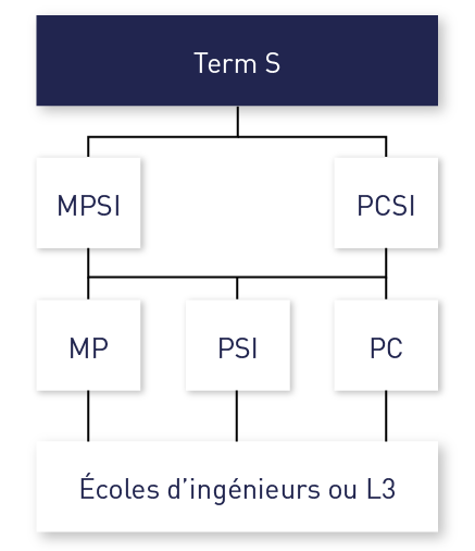 schema