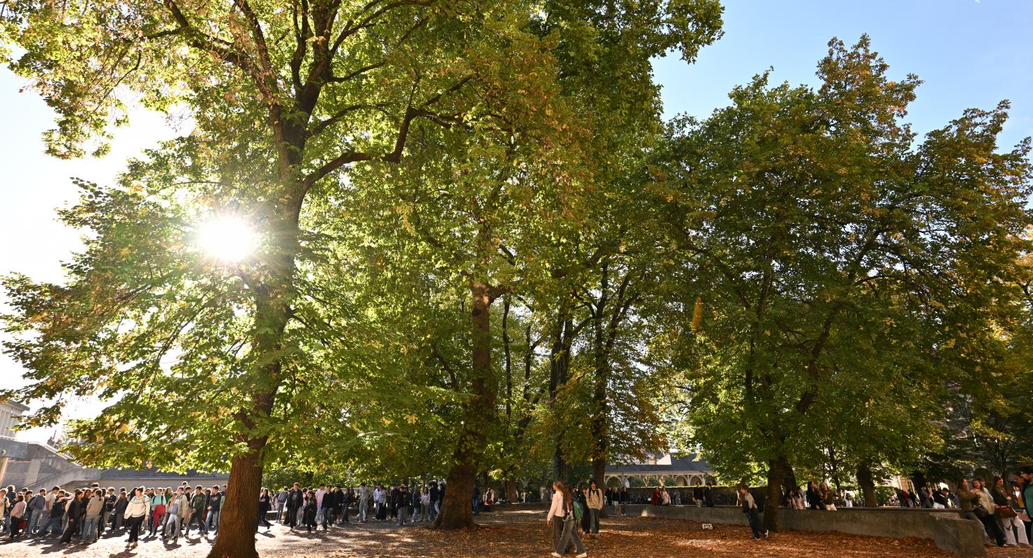 les sinisants de st stan