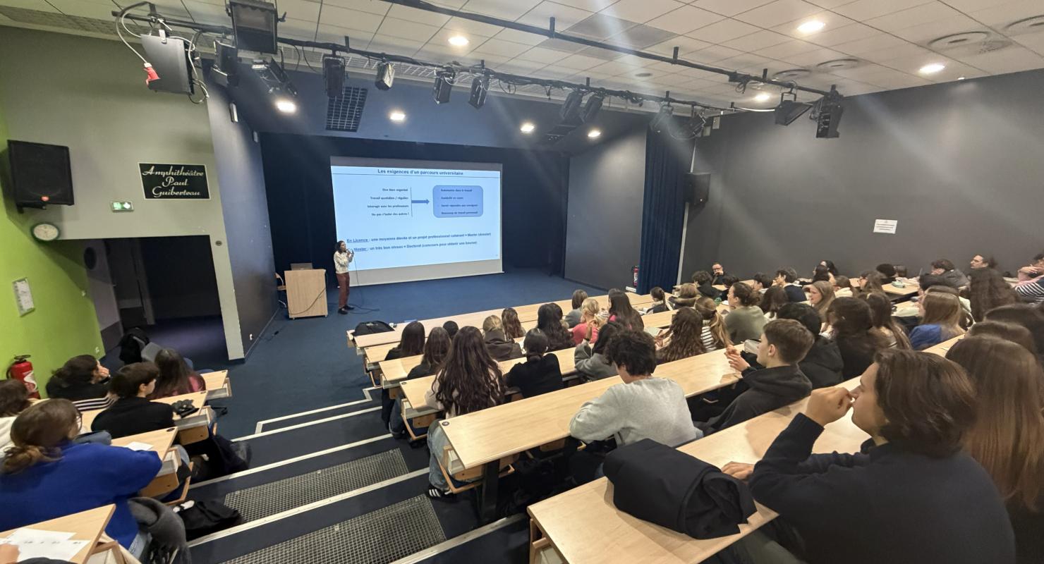 st stan nantes orientation