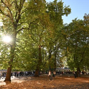 portes ouvertes st stan nantes