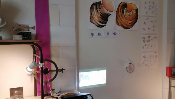 exposition