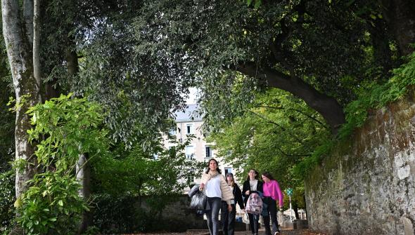 Découvrez le projet Arts et Patrimoine du lycée Saint Stanislas Nantes : retour d’expérience d’une élève de seconde&quot;