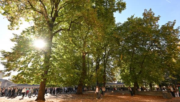 concours éloquence St stan nantes