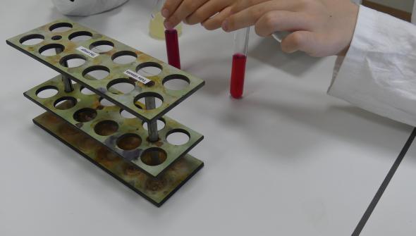 Découverte des sciences en laboratoire pour des élèves de primaire – immersion à Saint-Stanislas